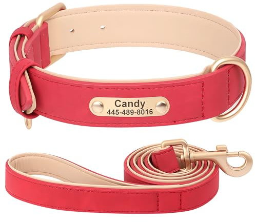 SEOUGEE Personalisiertes Hundehalsband und Hundeleine aus Leder im Set, weich gepolstert, robust, mit individuell gravierter Namensplakette, verstellbar für kleine, mittelgroße und große Hunde (S
