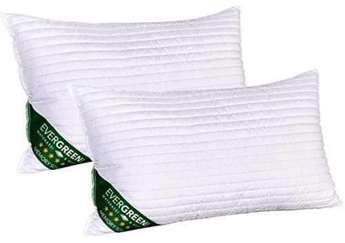 EVERGREENWEB Cuscini Letto Coppia 40x70 Alti 15cm 2 Guanciali Lavabili in Lavatrice Ortopedici per Dolori Cervicali Imbottitura 100% Fiocco Memory SOIA Antiacaro Morbidi Effetto Piuma Fodera Bianca
