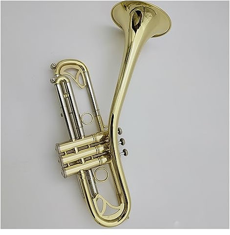 Einsteiger-Tromept Bb-vermessingte Profi-Trompete Mit Box Und Mundstück Blechblasinstrumente Anfänger