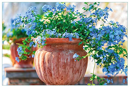 Wallario Küchenrückwand selbstklebend 90 x 60 cm, Motiv: Blaue Blumen in Einer Steinvase | Spritzschutz abwischbar & pflegeleicht