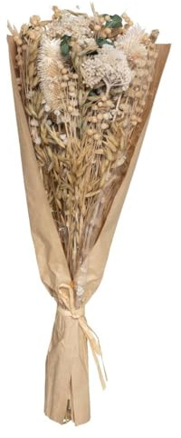 Atmosphera - Strauß Trockenblumen Distel H. 48 cm - Weiß