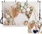 MEHOFOND 8x6ft Boho Thema Junge 1. Geburtstag Fotografie Hintergrund Böhmischer Stil Zelt Ballon Kinder Party Banner Fotokabine Studio Dekoration Neugeborenes Portrait Fotoshooting Hintergrund