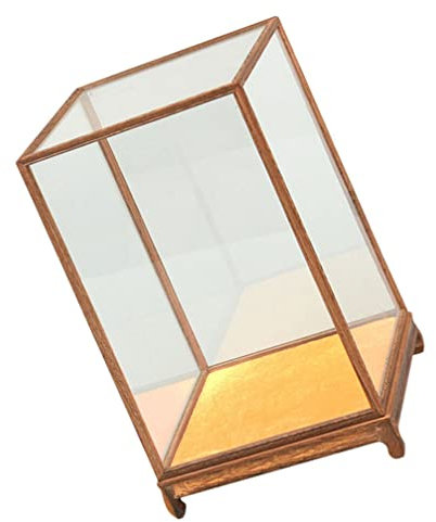 Kasten Holzschnitzerei Glasabdeckung Pflanzenterrarium Aus Glas Ausstellungsbox Für Druckgussmodelle Chinesischer Vasenständer Thekenvitrine Spielzeug Hölzern Sammelbox Kristall
