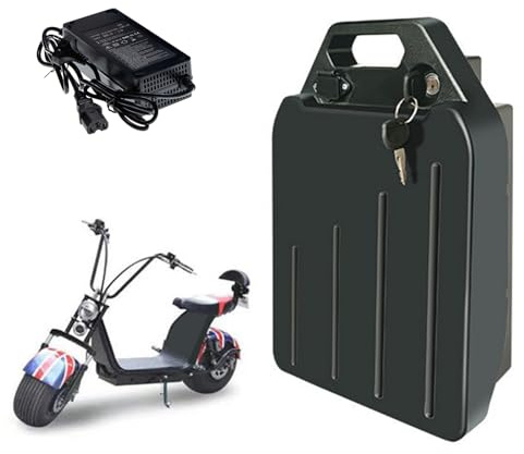 JHKJ 48V 15Ah 17.5Ah Electric Motorcycle Battery 60V 10Ah 20Ah Lithium Battery Pack for Scooter/Moped Motor Built-in Lithium Batteries with Charger