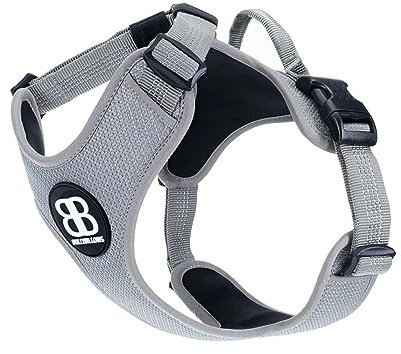BullyBillows Active Light Hundegeschirr mit Griff | Premium-Geschirr mit gepolstertem Innenfutter & hochreflektierendem Design | Geeignet für alle Hunderassen | Metall Grau |Groß