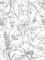 Papier peint à décoller et à coller - Style rustique vintage - Motif oiseaux botaniques - Pour murs, armoires, commodes, tiroirs, meubles, loisirs créatifs, décalcomanie - Noir et blanc - 45 x 290 cm