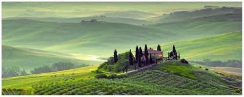 Wallario Küchenrückwand selbstklebend 115 x 50 cm, Motiv: Toskana in Italien | Spritzschutz abwischbar & pflegeleicht
