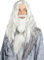 Funidelia | Dumbledore Perücke mit Bart - Harry Potter für Herren Zauberer, Gryffindor, Hogwarts - Zubehör für Erwachsene, Zubehör für Kostüm - Grau/Silber