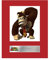 Donkey Kong Foto Display Super Mario