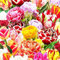 COOTO Garden Tulpenzwiebeln Blühende Pflanzen Tulpen Zwiebeln Mischung Blumen | 5 Stück im Set