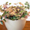 Tradescantia zebrina Quadricolor | Schleppende Indoor-Topfpflanze Geschenk