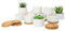FORAGIFT 7.5CM Succulent Plant Pots, Simple Design Round Small Flower Pot, White Ceramic Cactus Pots with Bamboo Tray and Drainage Hole, Great for Home Office Decor, Set of 12 (Plants Not Included)