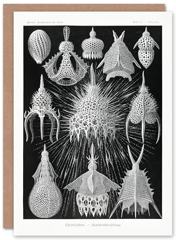 Artery8 Ernst Haeckel Art Card Crytoidea Marine Microorganisms