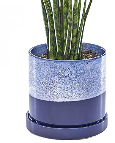 CHIVE Pot de fleurs en c�ramique � Minute � � Jolis pots de fleurs color�s de 12,7 cm pour plantes d'int�rieur et d'ext�rieur � Belle d�coration moderne de cuisine de ferme � Bleu cobalt