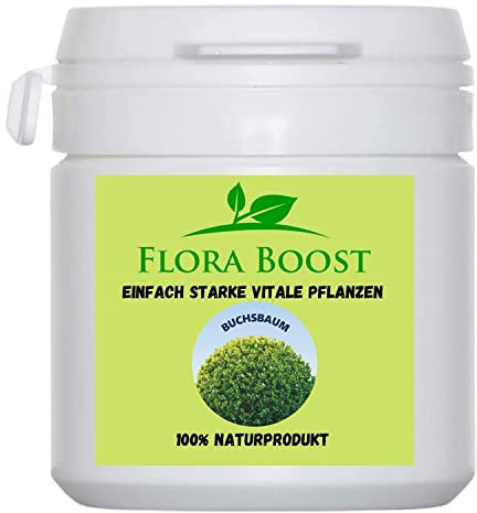 Flora Boost Buchsbaum Dünger Flora Boost 100g I Für bis zu 100L Gießwasser I Dünger in Pulverform I Mit Sofort- & Langzeitwirkung I Blatt- & Wurzeldünger I 100% natürlicher Pflanzendünger