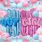 Amycute Palloncini Gender Reveal Party, Kit Gender Reveal Party Palloncini Rosa e Azzurro Decorazioni Gender Reveal Palloncini con Coriandoli per Baby Shower Boy or Girl