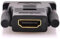 HOBBYTECH Adaptateur DVI-D Mâle vers HDMI Femelle 1080p