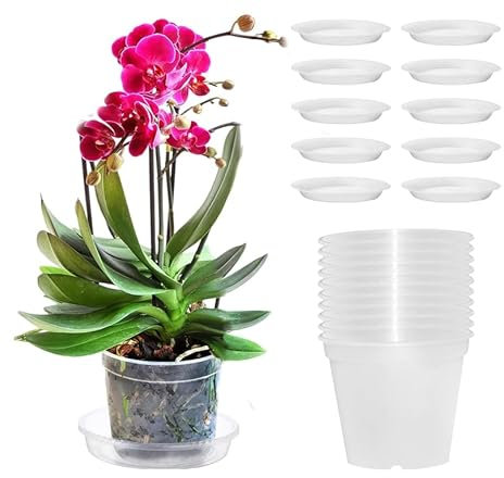 SRTSTR 10 Pièces Pot Orchidée Transparent 11,5cm Pot Plastique Plante Pot Transparent Plante avec Trous de Drainage et Soucoupe pour Orchidée, Jardin, Balcon, Bureau