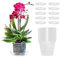 SRTSTR 10 Stück Orchideentopf Transparent 11,5cm Orchideen übertopf Anzuchttöpfe Transparent Mit Drainageloch/Untersetzer Für Indoor Outdoor Balkon Schreibtisch