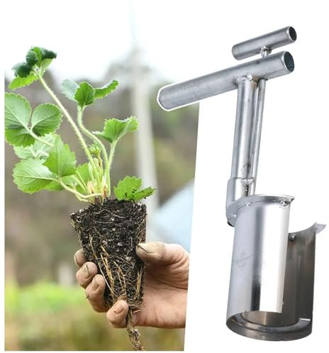 Zeetan Attrezzi E Accessori per La Semina di Bulbi, Utensili per La Semina di Alberi da Frutto in Acciaio Inox,Argento,1 PCS