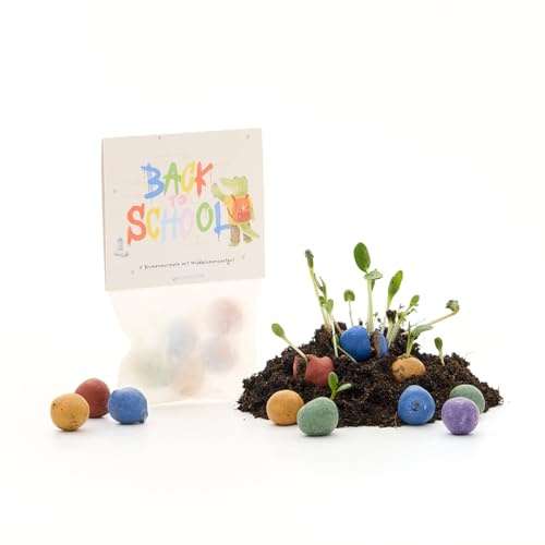 Blumenmurmeln zum Schulstart Graffiti | 5 bunte Blumenmurmeln im Pergamintütchen (ca. 10 x 5 cm) | mit coolem Motiv | Kreative Geschenkidee für Kinder, Schule & Schulalltag