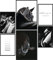 Papierschmiede® Mood Poster Set Reitsport, Bilder Wohnzimmer Deko Schlafzimmer, 2x DIN A4 und 4x DIN A5, Pferd Reiten Jockey schwarz-weiß - ohne Rahmen