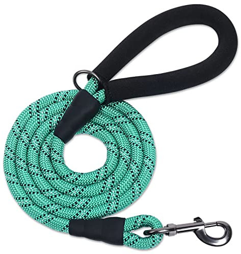 VIVAGLORY Laisse pour Chien en Corde Solide avec Poignée Rembourrée en Néoprène Doux et Fils Réfléchissants, Laisse de 180CM pour Entraînement et Promenade Chiens Moyens Grands, Turquoise