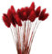 Wambere 60 Stück 40cm Natürliche Trockenblumen Deko Getrocknete Pampasgras Deko Verwelken Nie Trockenblumen Boho Deko Super Flauschig für Blumen Arrangements Heim Decor,Rot