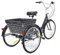 Quiltern 24Zoll Dreirad für Erwachsene 3-Räder Fahrrad 8-Gang mit Einkaufskorb Dreirad，City-Dreirad für sportliche Einkäufe im Freien