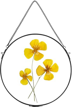 REDHUGO Glasrahmen, rund, gepresst, Blumenrahmen, Kreis, Schwarz, Durchmesser 24 cm