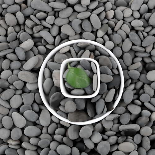 AVALUTION Natural Grey Stone for Plants -18lb Aquarium Gravel for Succulent Cactus & Bonsai, 1Inch Decorative River Rocks Pebbles for Gardening, Flower Pots, Landscaping, Terrarium