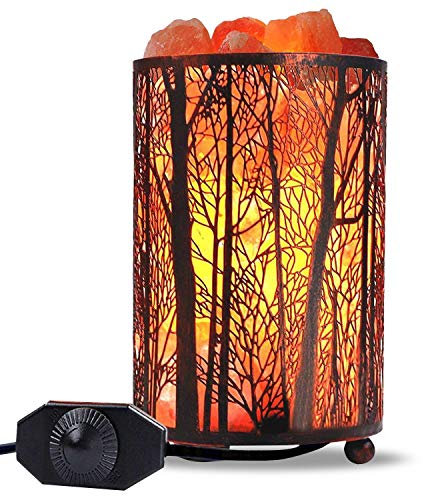 Shineled Himalayan Salt Lamp, Salt Rock Lamp Natural Night Light in Forest Design Metal Basket with Dimmer Switch (2KG-Forest)