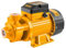 Ingco Vpm7508 Auto Pompa Autodescante 750 W 1 Hp Elettropompa 8 Mt 50 Lt/min