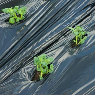 Bâche de paillage compostable en non-tissé de jardin 1,4 x 10 m contre les mauvaises herbes. Film anti-mauvaises herbes qui se compostent dans le sol