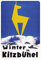 Blechschild 20x30cm gewölbt Urlaub Winter Kitzbühel Deko Geschenk Schild