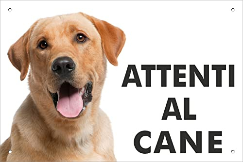 Pubblimania Cartello Attenti al Cane Labrador Retriever - Targa Segnaletica in Alluminio composito 3 mm di spessore - Resistente alle Intemperie e ai Raggi UV - Fori Pre-perforati (Cm 20x30)