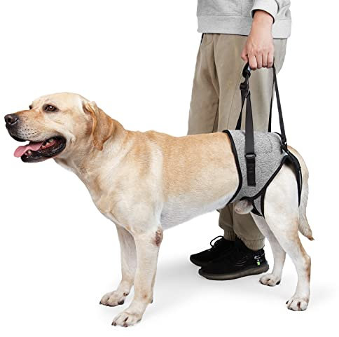 MeiAOBest Dog Lifting Harness,Dog Hind Legs Support Strap Pet Portable Recovery Walking Training Lift Strap with Handle for Elderly Injured Amputation Disabled Dogs_S