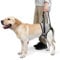 MeiAOBest Dog Lifting Harness,Dog Hind Legs Support Strap Pet Portable Recovery Walking Training Lift Strap with Handle for Elderly Injured Amputation Disabled Dogs_S