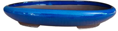 Genérico BIOMATA Ceramic Bonsai Pot for Kifu 26 x 19.5 x 4 cm | Oval Pot | Pot for Bonsai Resistant to Any Weather | Ceramic Pot with Drainage (Blue)