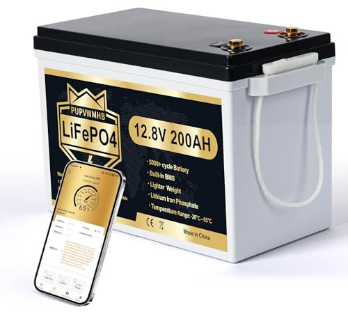 PUPVWMHB 12V 200Ah MINI LiFePO4 Lithiumbatterie, Bluetooth-Lithiumbatterie,200A BMS, bis zu 15000Zyklen, max.2560 Wh Energie mit Untertemperaturabschaltung, perfekt für Wohnmobil, Solar,Trolling-Motor