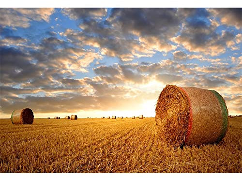Aoihrraan 2,2x1,5m Rural Tierras De Cultivo Fondo Dorado Campo Agricultura Paja Fardos Puesta De Sol Otoño Cosecha Fotografía Fondo Western Vaquero Fiesta Acción De Gracias Video Disparos Foto Atrezzo