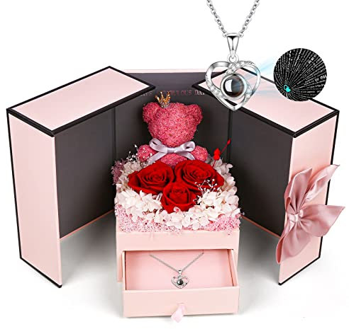 Konijiwa Preserved Real Rose Gifts for Her Girlfriend Wife Eternal Flowers Rose with I Love You Necklace in 100 Languages Gifts for Womens Romantic Gifts on Birthday, Christmas