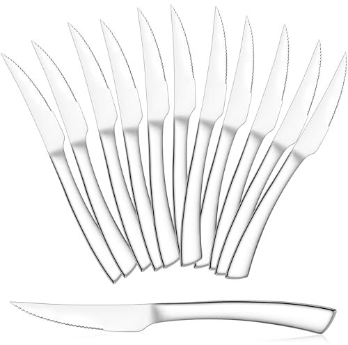 HaWare Lot de 12 couteaux à steak en acier inoxydable - Couteau de table - Couteau à beurre - Couteau à steak tranchant - Pour la maison, la cuisine, le restaurant - Poignée ergonomique, poli miroir