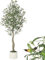 Faux Olivier 150cm,Olivier Artificia Intérieur avec Jardinière Blanche et Mousse Verte, Faux Arbre Artificiel Résistant aux UV,pour Décoration Maison Bureau Salon Chambre à Coucher