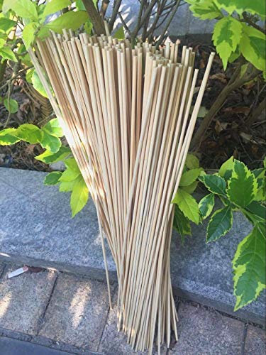 50 Wooden Plant Sticks 40cm Garden Plants Support Flower Stick Cane