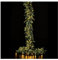 Edg - Enzo De Gasperi Tralcio Pino Luxury 170 LED 270 Cm Prolungabile - Trasformatore Incluso