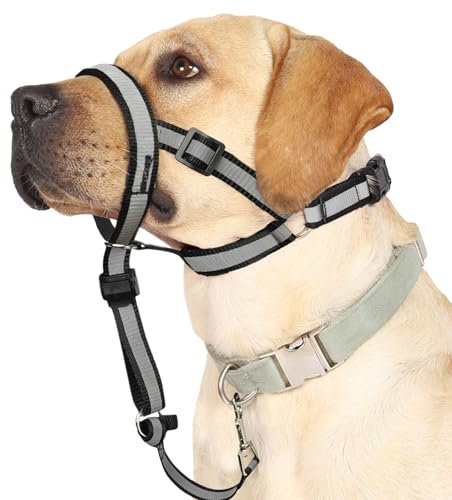 Reflective Head Collar, No Pull Collar for Large Dogs, Anti-Pull Muzzle Leash for Large Sized Breed, Adjustable Soft Dog Halter, Nose Leash for Easy Control on Walks