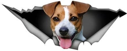 Autoaufkleber Jack Russell Terrier Aufkleber 15cm(5.9 Inch) Jack Russell Terrier 3D Zerrissen Aufkleber Jack Russell Terrier Reflektierende Aufkleber Lustig Haustier Hund Wasserdichte Dekor