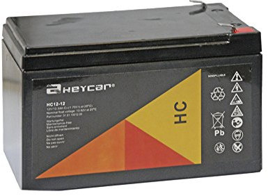 Heycar Batterie au Plomb AGM Standard 12 V-12 Ah Voiture