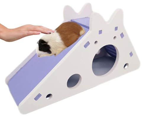 Kleines Hamsterhaus | Kletterleiter Rutsche für Hamster Versteck, Spielzeug für Hamsterhaus, Rutsche für Kleintiere Gerbil House Käfig